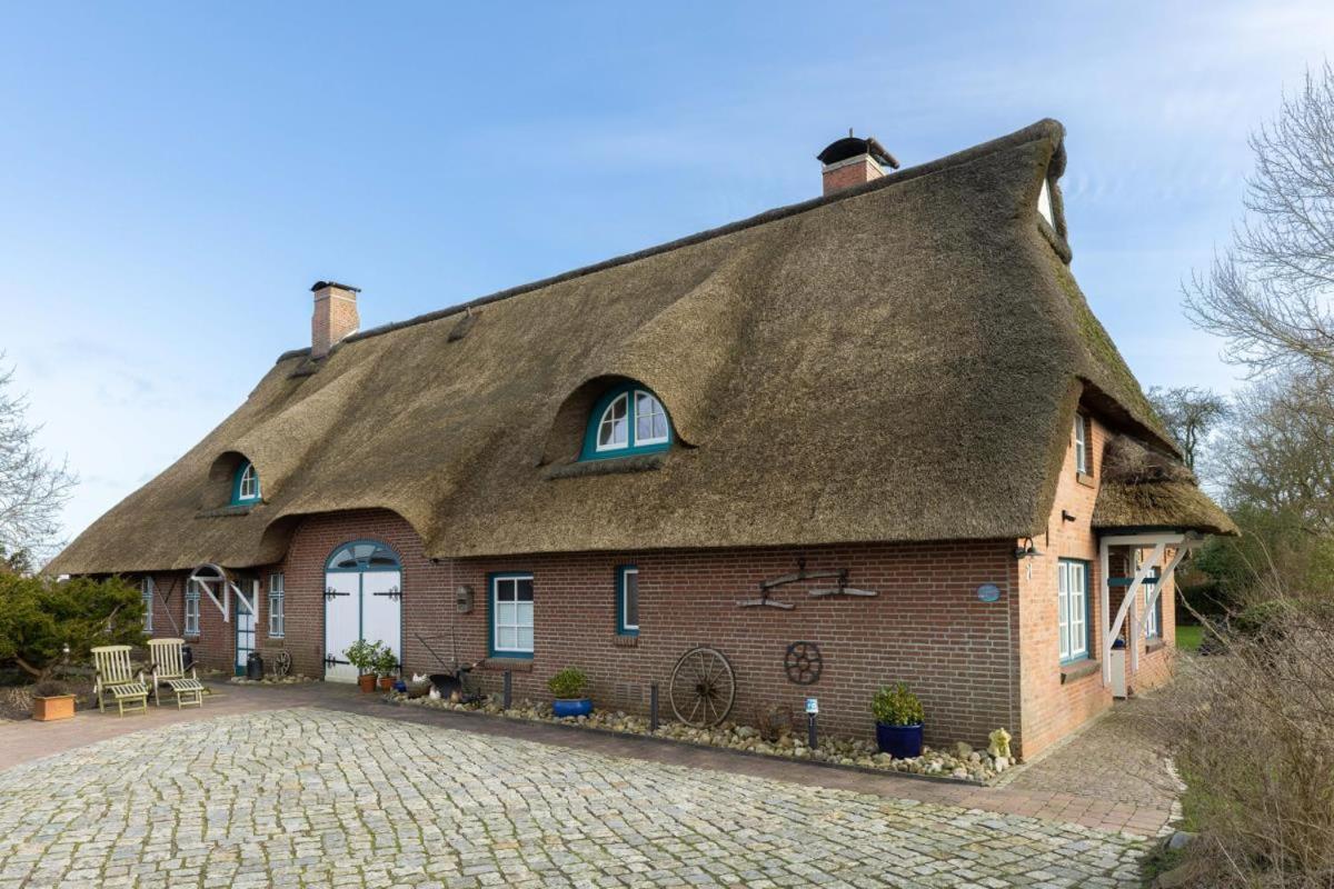 Deichmuschel Villa Woehrden Eksteriør bilde