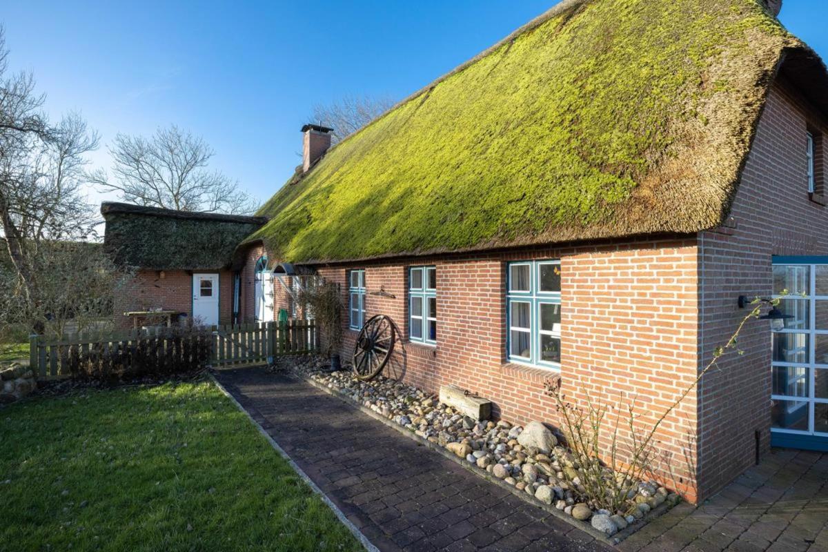 Deichmuschel Villa Woehrden Eksteriør bilde