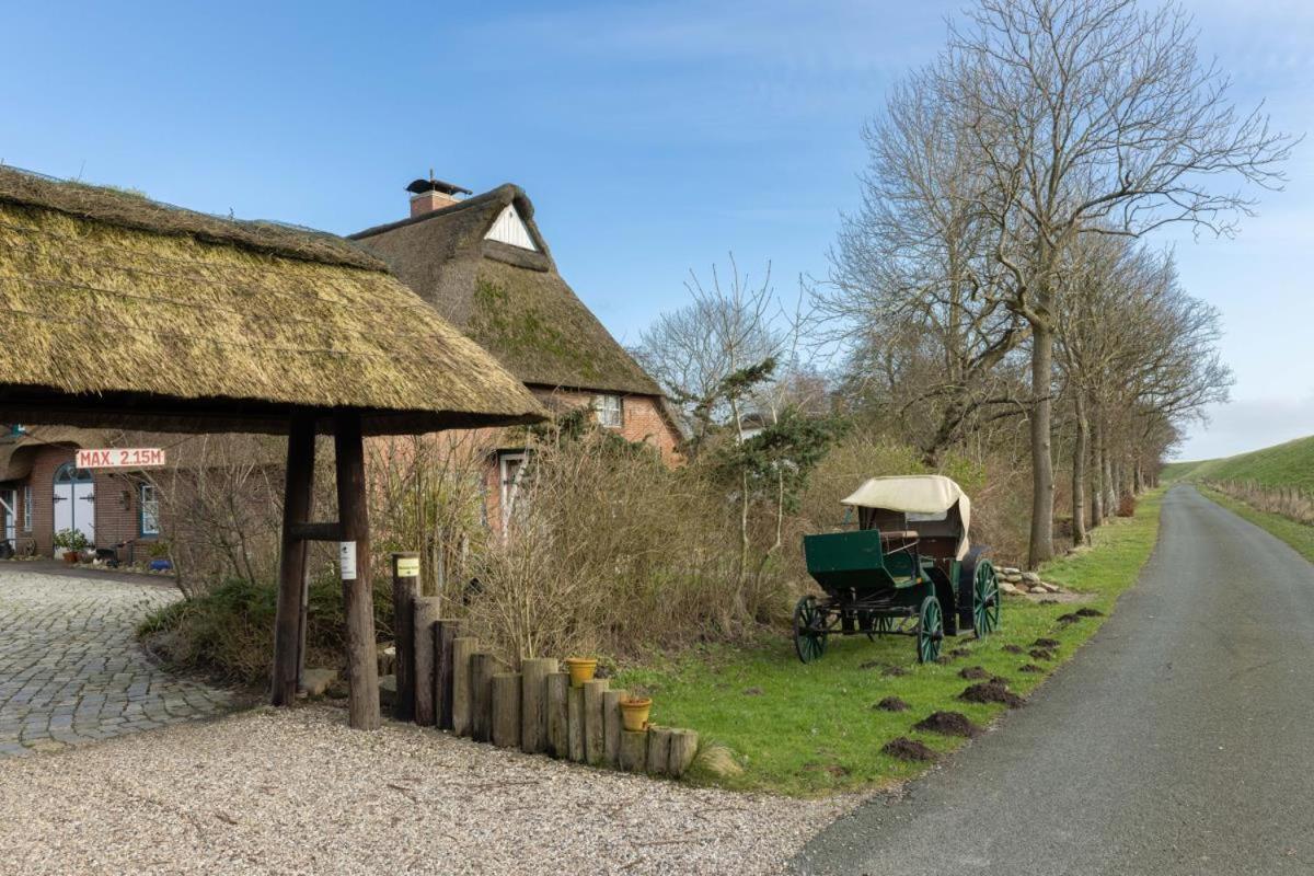 Deichmuschel Villa Woehrden Eksteriør bilde